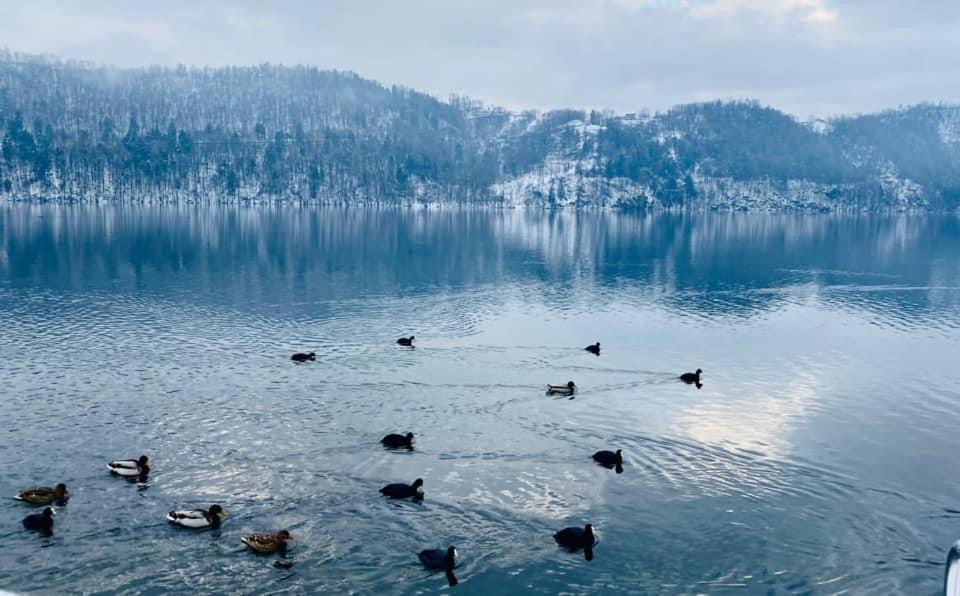 Villa Miriam Levico Terme Bagian luar foto