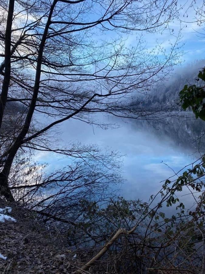 Villa Miriam Levico Terme Bagian luar foto